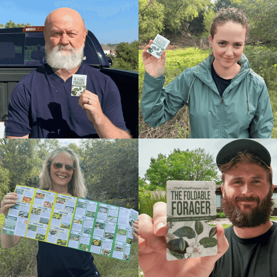 The Foldable Forager