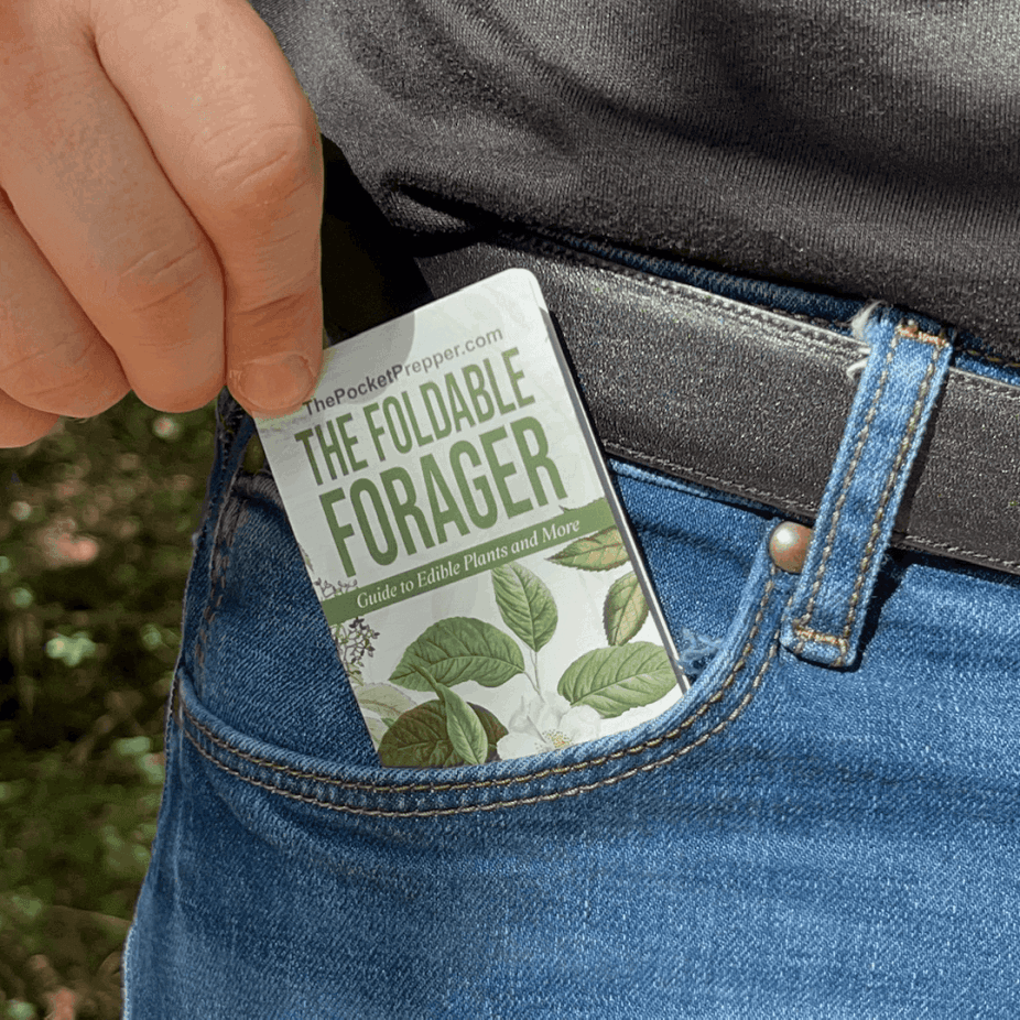 The Foldable Forager